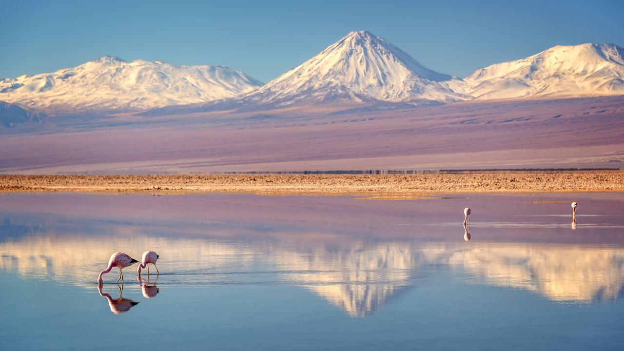 Estos son los destinos más «cool» para viajar en 2024, según National Geographic: hay dos en Latinoamérica