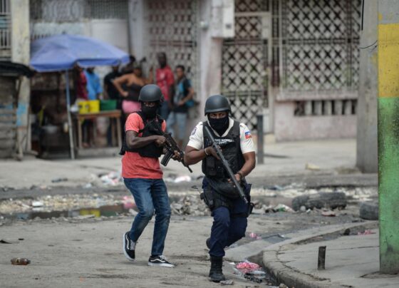 Violencia de las pandillas se extiende a las zonas rurales de Haití, revela informe de la ONU