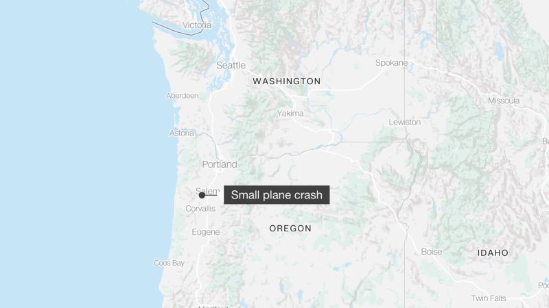 Tres muertos tras un accidente aéreo que causó un pequeño incendio forestal y un corte de energía