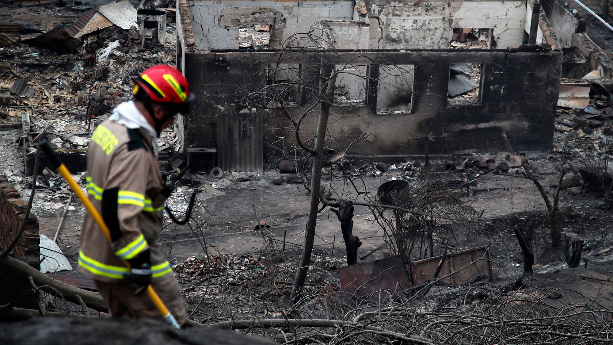 Al menos 99 muertos por los incendios forestales en Chile, informa CNN Chile