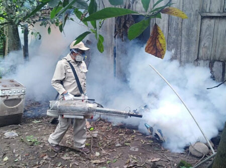 Salud activa fumigación en Caranavi por alta infestación del mosquito del dengue
